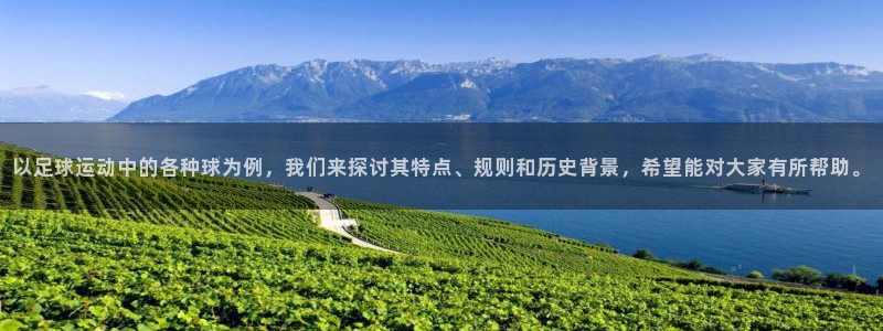 红蓝体育进入网店：以足球运动中的各种球为例，我们来探讨其特点、规则和历史背景，希望能对大家有所帮助。