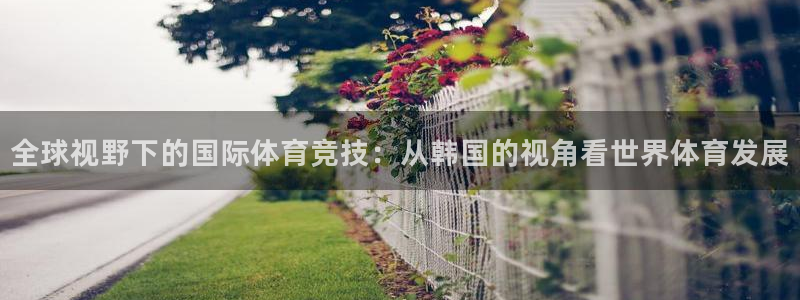 红蓝体育：全球视野下的国际体育竞技：从韩国的视角看世界体育发展