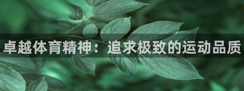 红蓝体育买球正规吗：卓越体育精神：追求极致的运动品质