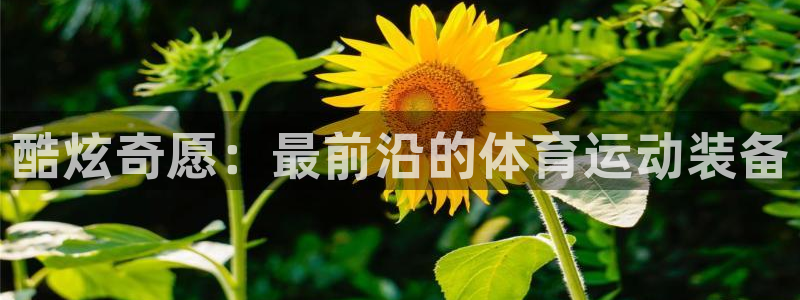 红蓝体育是正规还是假：酷炫奇愿：最前沿的体育运动装备