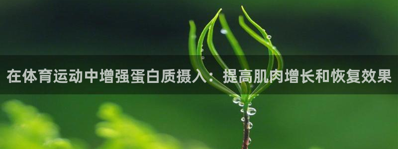红蓝体育手机下载官网：在体育运动中增强蛋白质摄入：提高肌肉增长和恢复效果