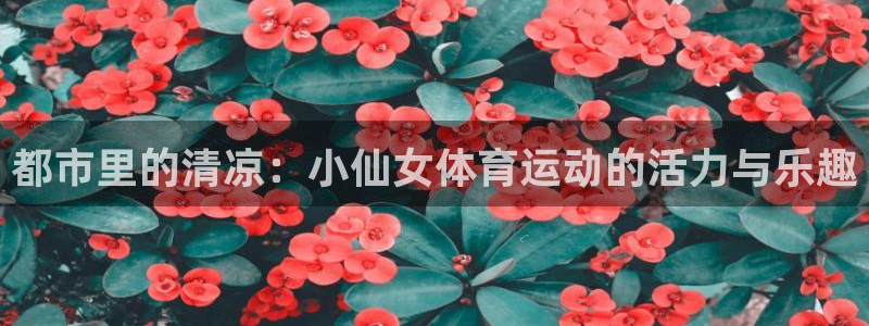 红蓝体育综合官网：都市里的清凉：小仙女体育运动的活力与乐趣