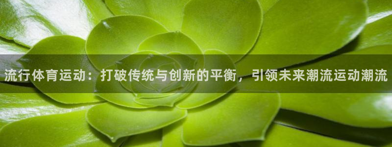 红蓝体育全站app下载安装最新版本：流行体育运动：打破传统与创新的平衡，引领未来潮流运动潮流