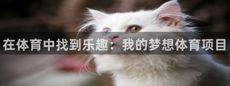 红蓝体育亚洲体育官方网站：在体育中找到乐趣：我的梦想体育项目