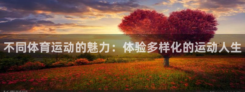红蓝体育是哪个app旗下的：不同体育运动的魅力：体验多样化的运动人生
