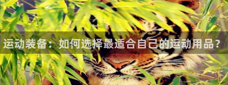 红蓝体育honglan：运动装备：如何选择最适合自己的运动用品？