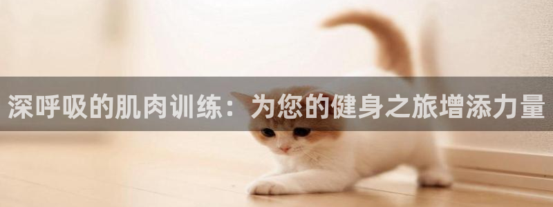 红蓝体育最新域名：深呼吸的肌肉训练：为您的健身之旅增添力量