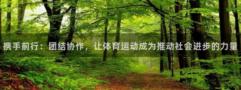 红蓝体育能提现吗：携手前行：团结协作，让体育运动成为推动社会进步的力量